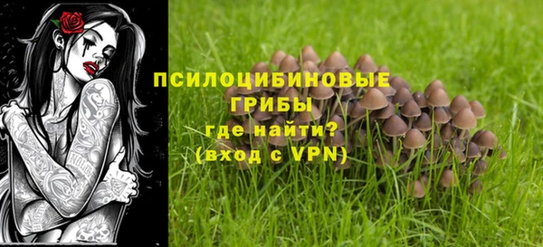 прущий лед Алексеевка