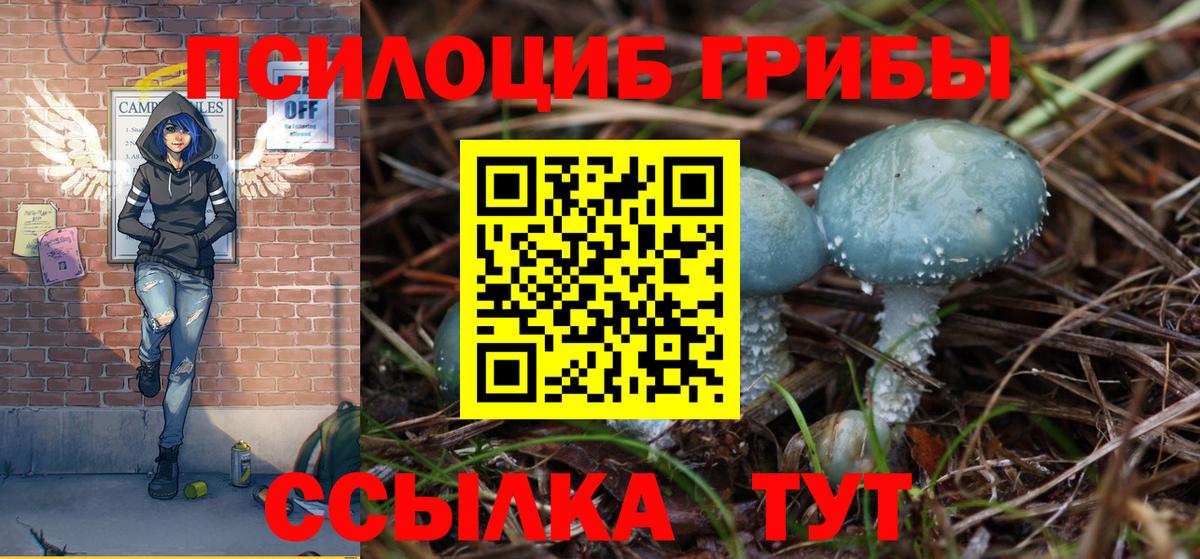 Галлюциногенные грибы Magic Shrooms Кудрово